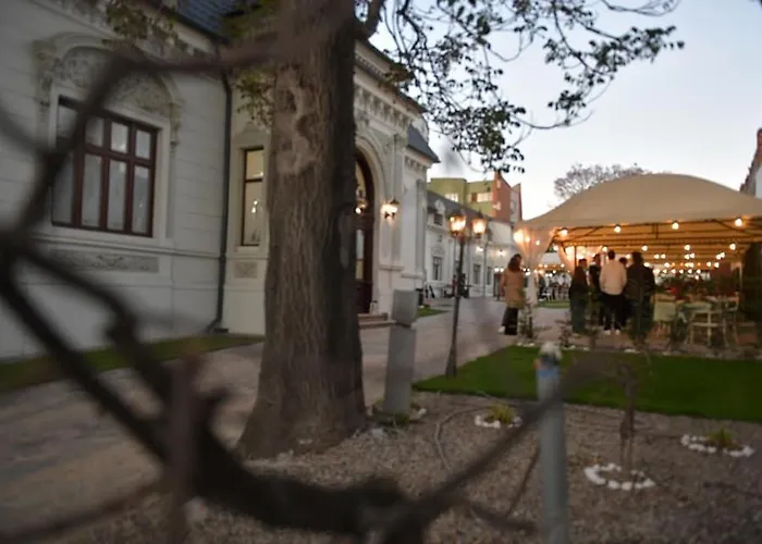 酒店 Casa Cu Tei 克拉奥华